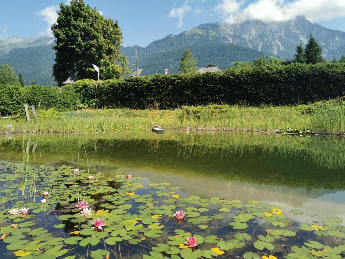 Landhotel Kastanienhof グンダースハイム エクステリア 写真